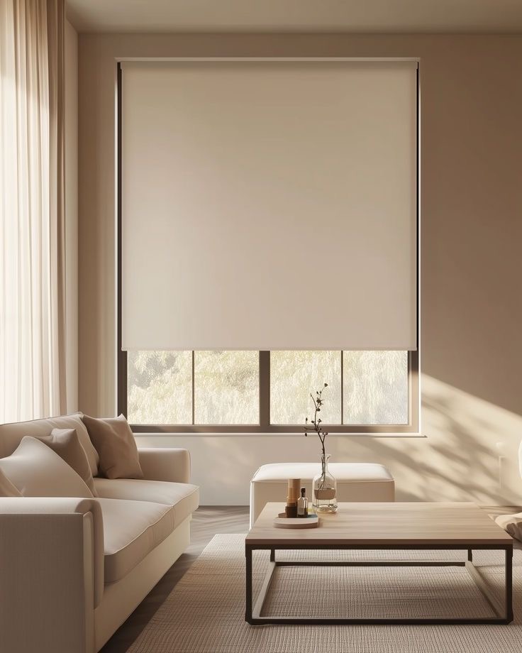 Cortinas Roller Blackout